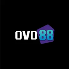 OVO88 - Pengalaman Live Casino Terbaik di Genggaman Anda